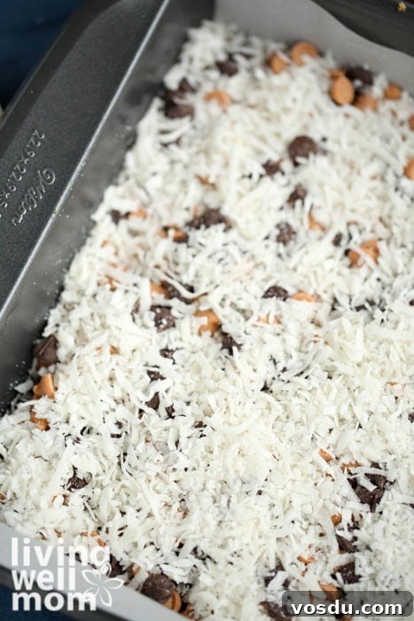 Classic Seven-Layer Bars Recipe with Chocolate and Nuts 7 layer of shredded coconut on seven layer bars