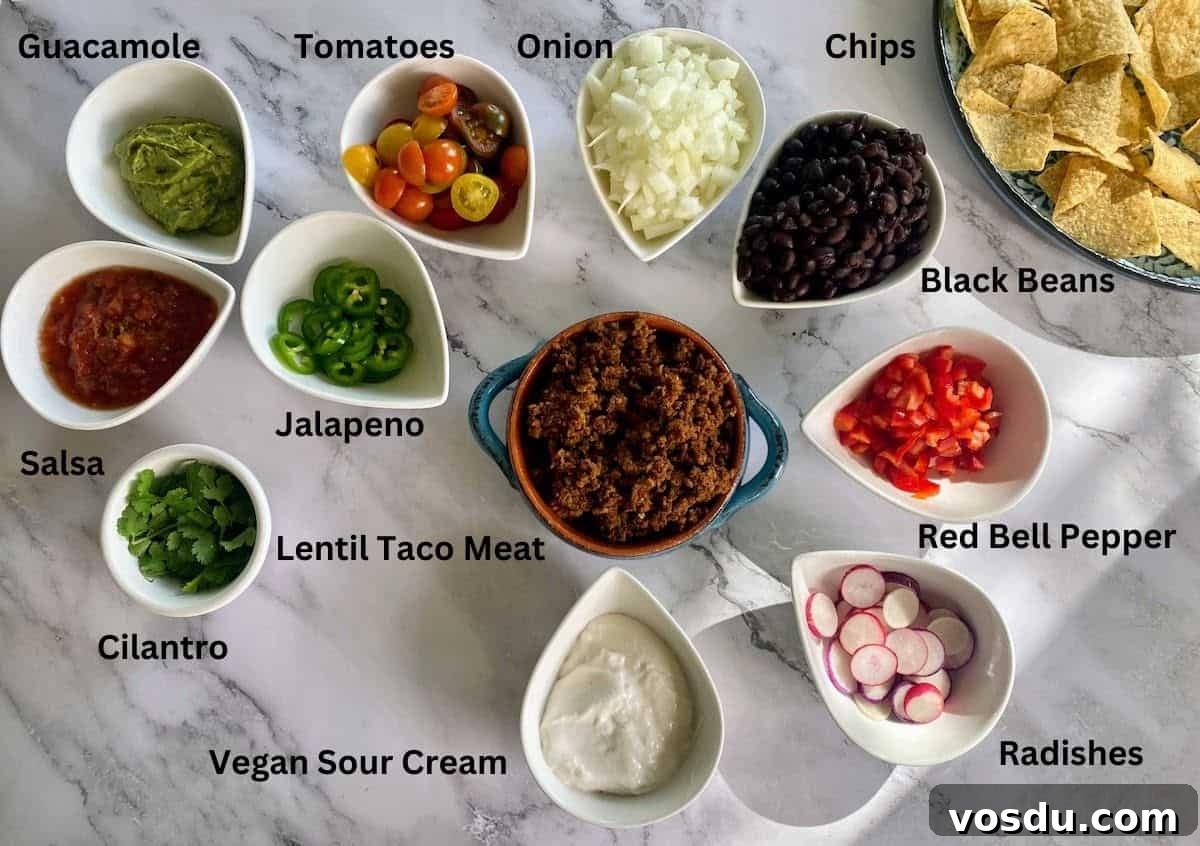 Crunchy Vegan Nachos with Spicy Cashew Cheese 6 Vegan nacho ingredients: chips, black beans, red bell pepper, radishes, vegan sour cream, lentil taco meat, cilantro, jalapeno, salsa, guacamole, tomatoes, and onions