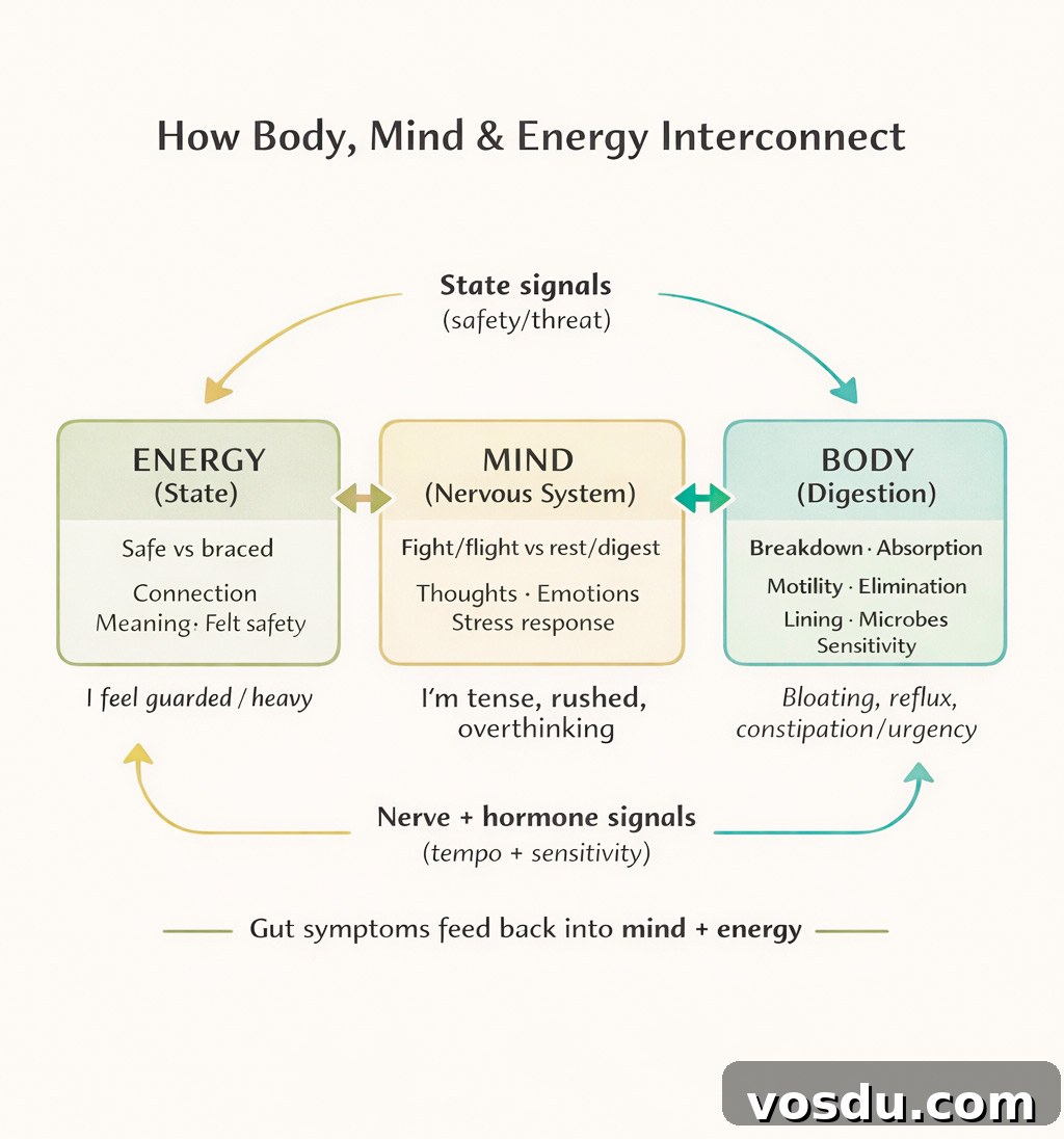 Diagram: Body+mind+energy layers in relation to digestive system