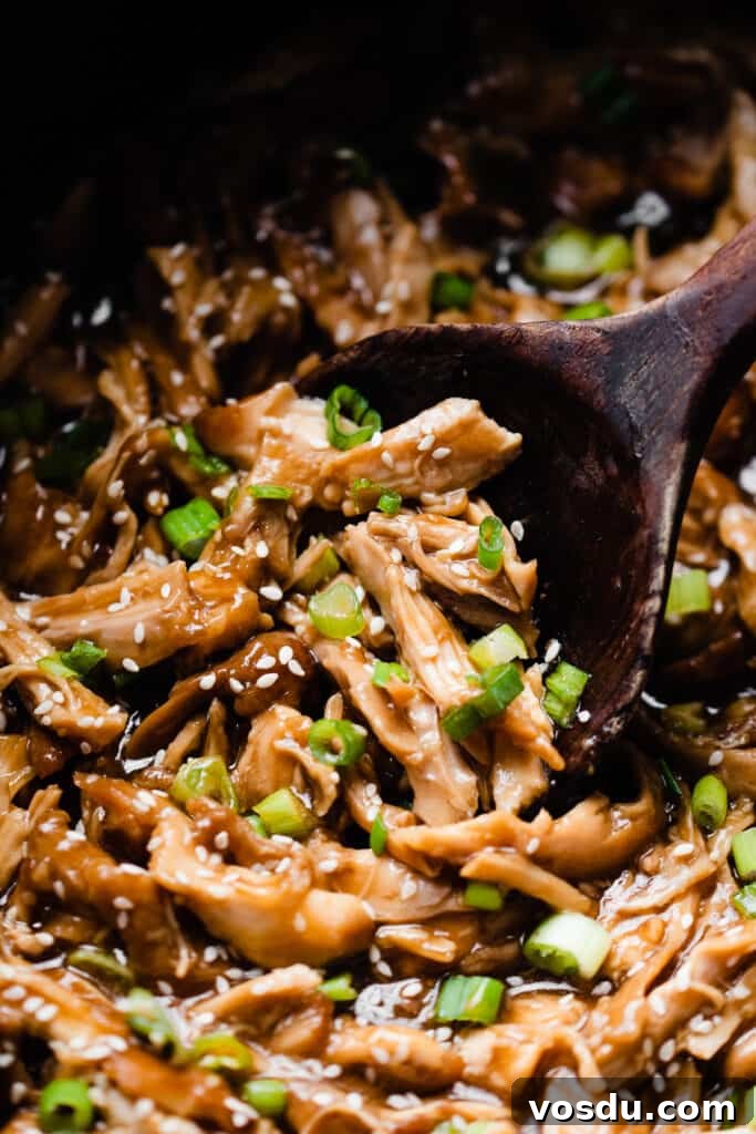 Slow Cooker Honey Garlic Chicken Recipe for Tender, Flavorful Meat 7 A close-up of a spoon scooping into the crockpot of honey garlic chicken.