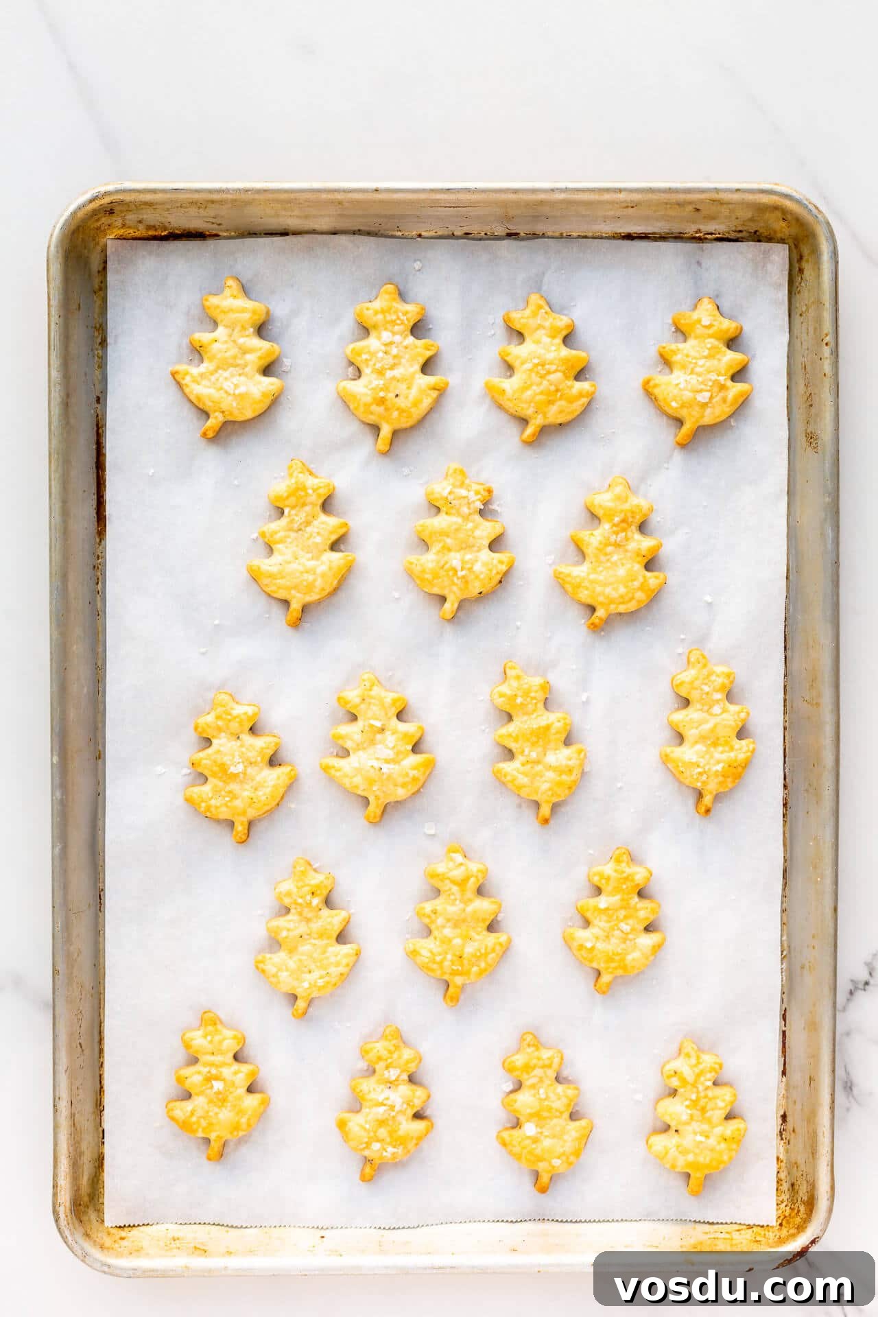 Freshly baked cheese shortbread cookies shaped like oak leaves on a parchment-lined baking sheet