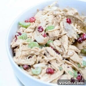 Pomegranate Chicken Salad with Crunchy Herbs and Citrus 5 Up close picture of chicken pomegranate salad in a white bowl with a gold serving spoon.