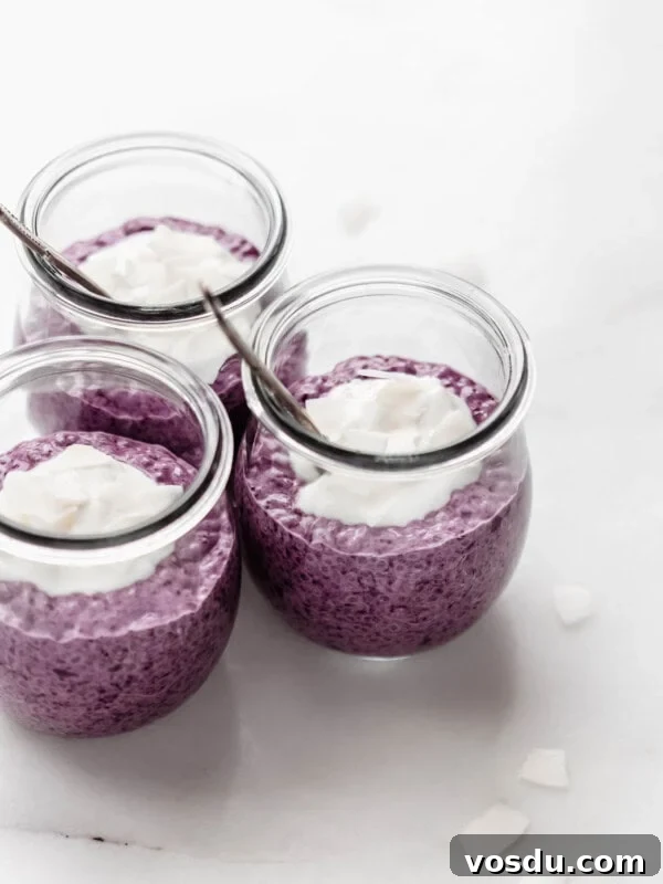 Creamy Lemon Chia Pudding Recipe for Bright Morning Meals 11 three jars of blueberry chia pudding on a marble counter