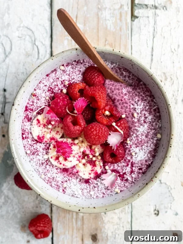 Creamy Lemon Chia Pudding Recipe for Bright Morning Meals 14 raspberry chia pudding in a white speckled bowl with a spoon in it