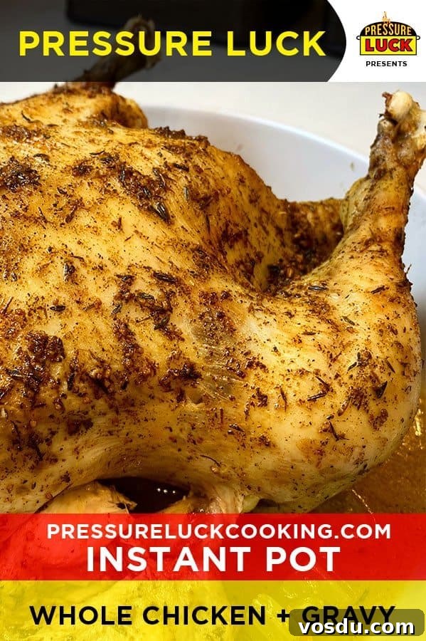 Crispy Instant Pot Whole Chicken with Savory Gravy (Air Fryer Lid) 2 img 24711 1