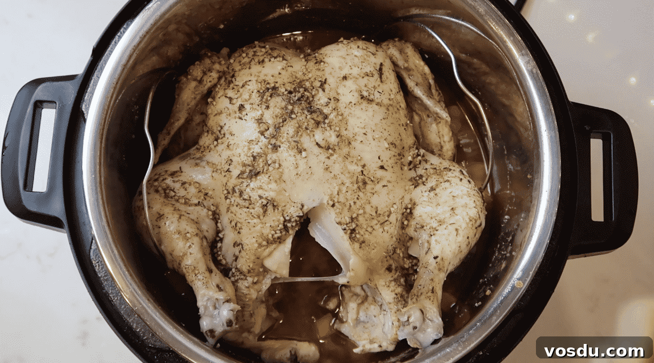 Crispy Instant Pot Whole Chicken with Savory Gravy (Air Fryer Lid) 11 img 24711 29
