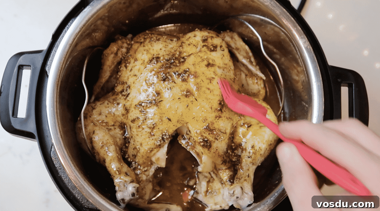 Crispy Instant Pot Whole Chicken with Savory Gravy (Air Fryer Lid) 13 img 24711 32