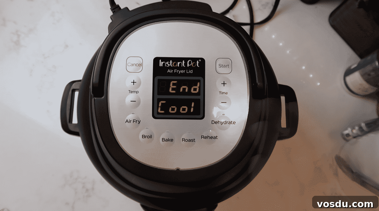 Crispy Instant Pot Whole Chicken with Savory Gravy (Air Fryer Lid) 14 img 24711 34
