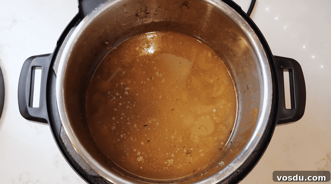 Crispy Instant Pot Whole Chicken with Savory Gravy (Air Fryer Lid) 15 img 24711 37