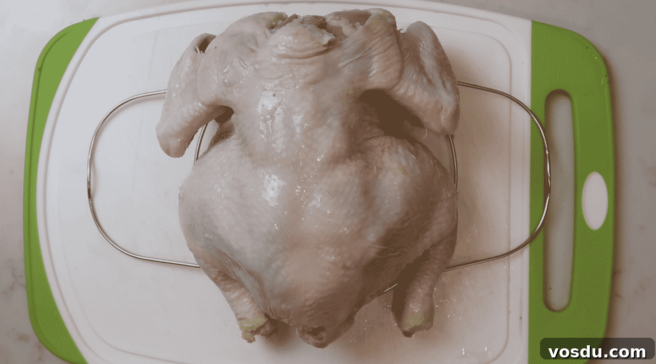 Crispy Instant Pot Whole Chicken with Savory Gravy (Air Fryer Lid) 5 img 24711 7