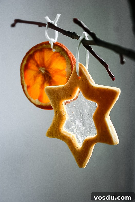 glass cookies glass cookies