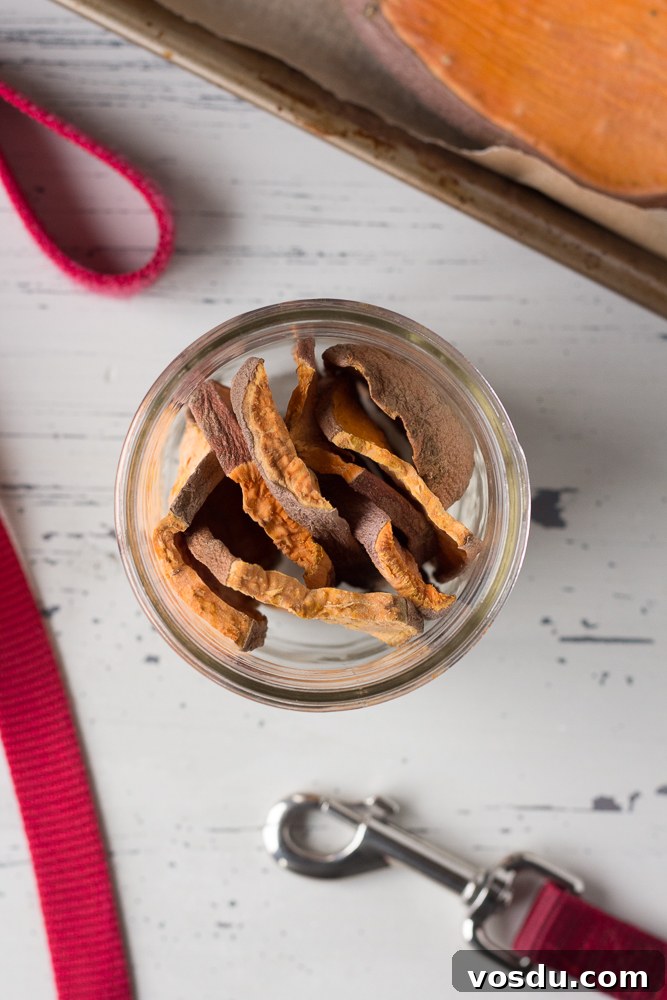 30 Sustainable Earth Day Recipes for a Green Celebration 6 Earth Day Recipes by Flora & Vino