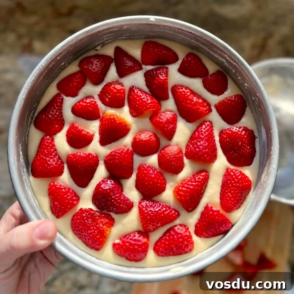 Sourdough strawberry cake topped with fresh strawberries in a round pan.