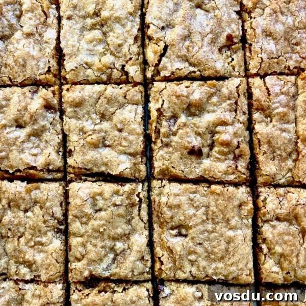 Sourdough blondies cut into squares with a soft chewy texture and golden top.