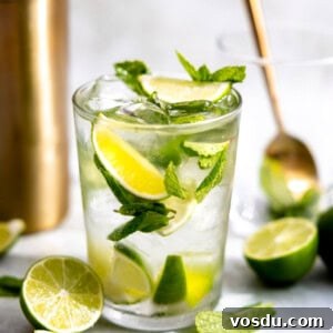 Glass with mojito with fresh mint and lime wedges.