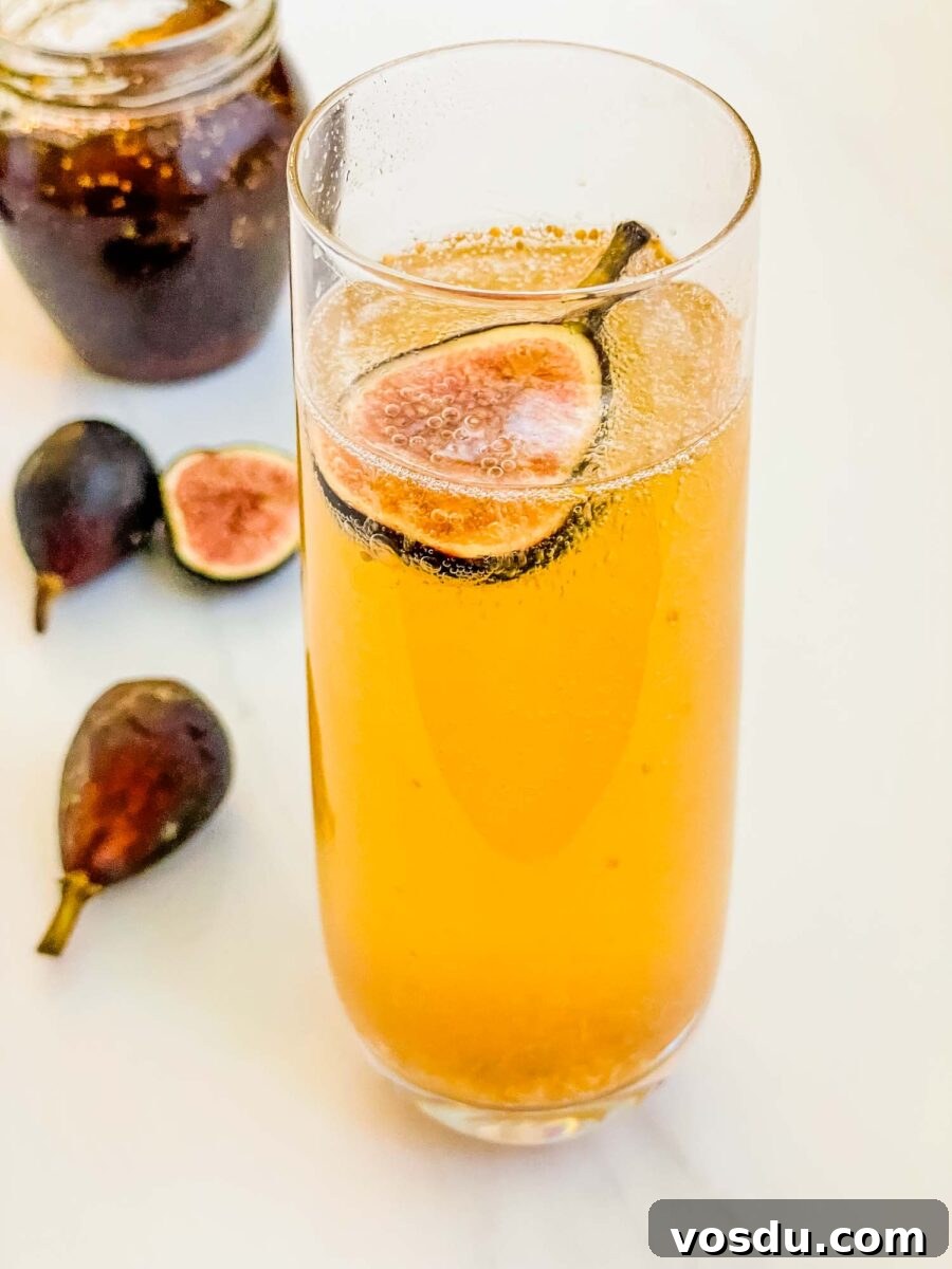 Fig Mimosa