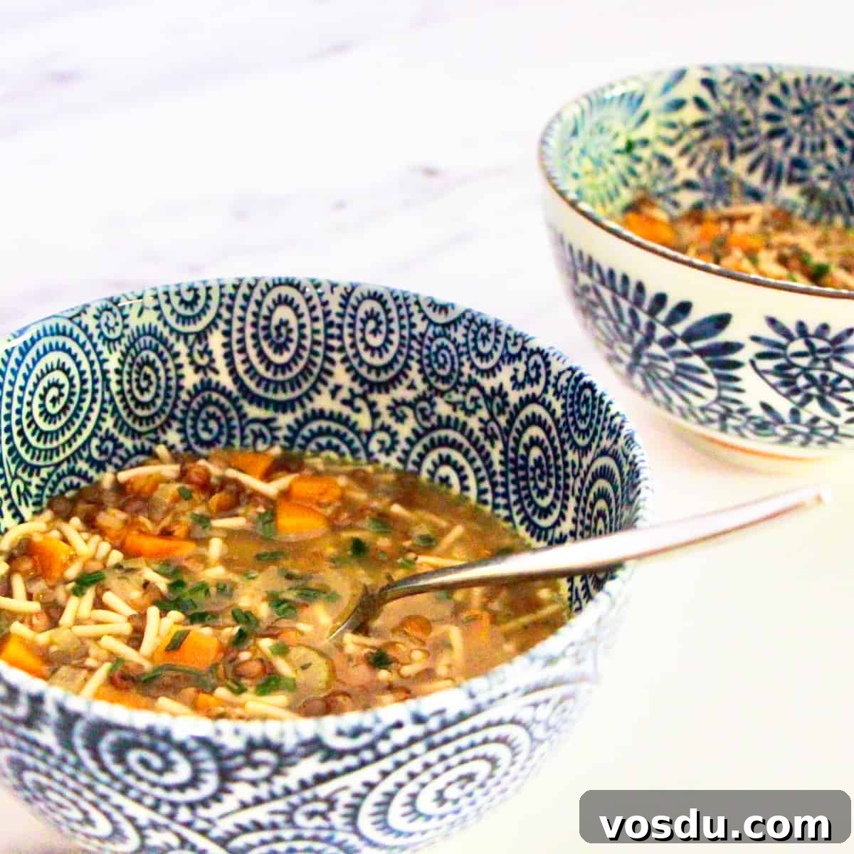 Two blue and white decorated bowls containing veggie noodle soup