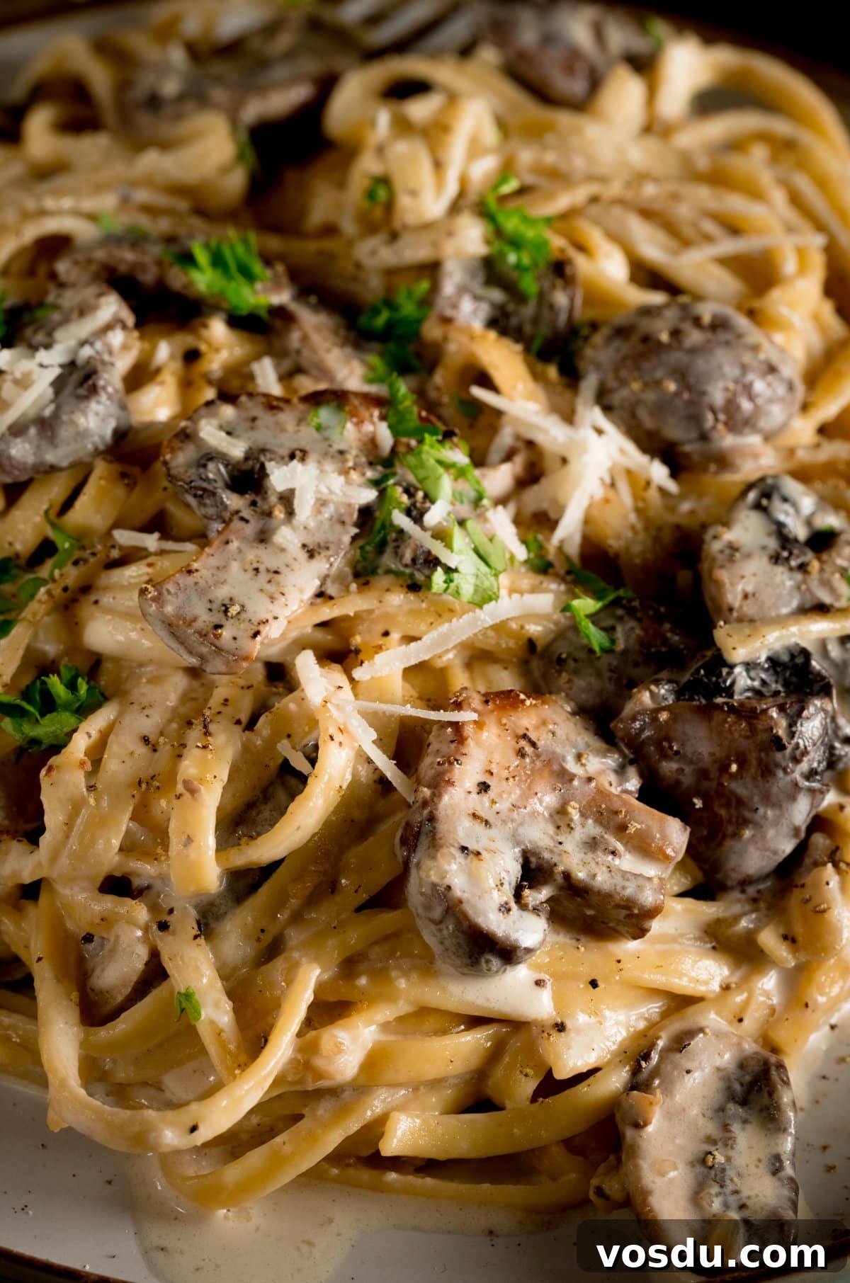 Creamy Mushroom Pasta Recipe with Garlic and Parmesan 2 A close up photo of creamy mushroom pasta sprinkled with chopped parsley