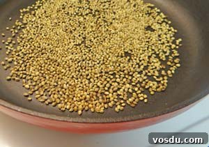 Toasted Hemp Seeds for Bread Toppings and Salad Mixes 2 Seeds in skillet
