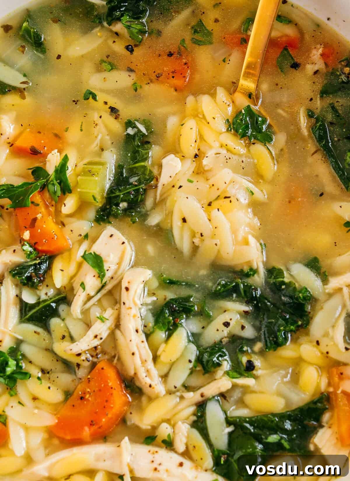 Looking for easy, healthy dinners the whole family will love? I've got you covered with 10 of my most popular healthy dinner recipes that are high in protein, simple to make, and perfect for busy weeknights. 