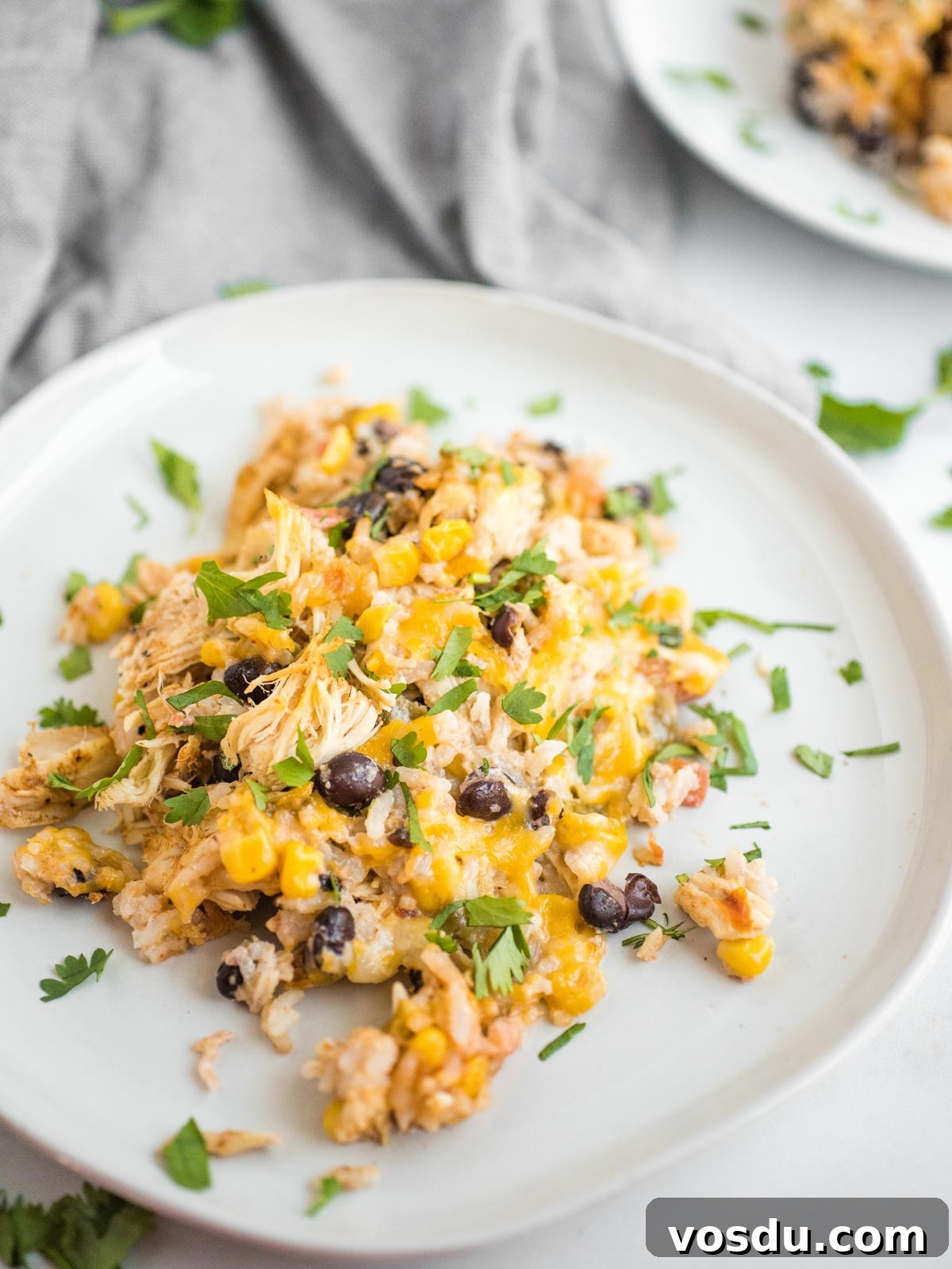Up close shot of Tex-Mex chicken casserole on a white plate.
