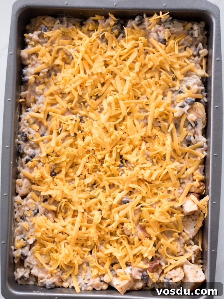 Shredded cheese over the rice mixture in a baking dish.