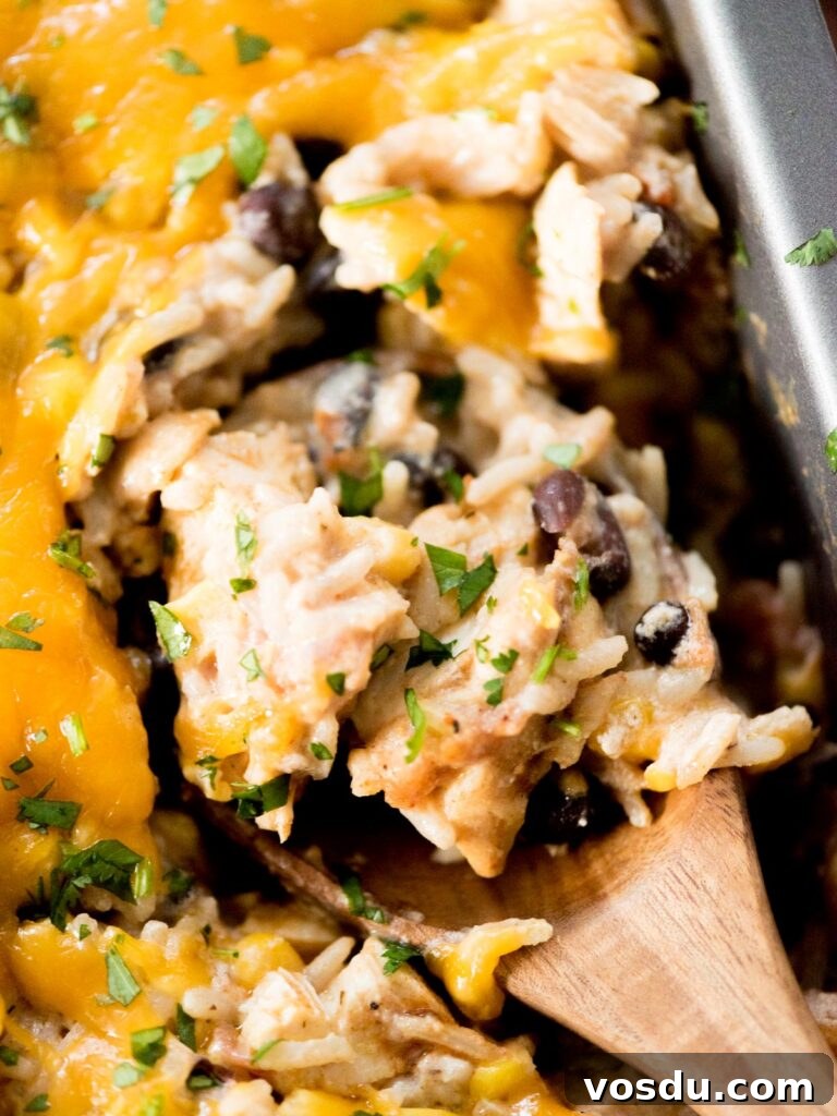 Up close view of a scoop of Tex-Mex chicken and rice.