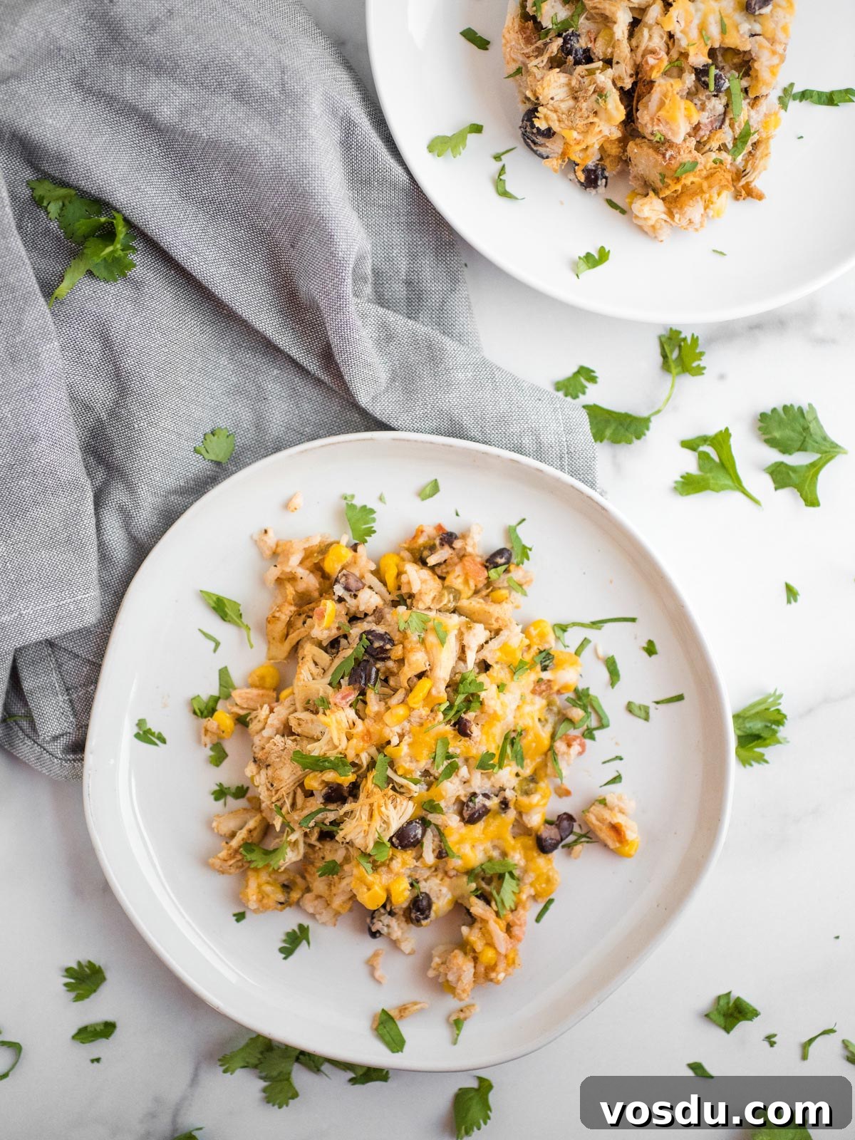 A serving of Tex-Mex chicken black bean casserole on a white plate