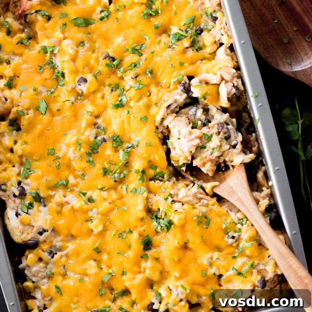 Wooden spoon scooping up a helping of Tex-Mex Chicken with black beans from the baking dish.