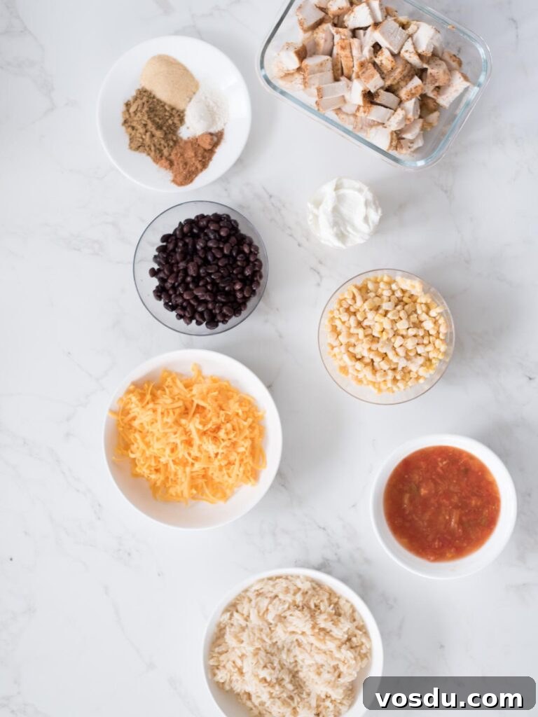 Ingredients shown that are used to make Tex-Mex chicken with black beans.