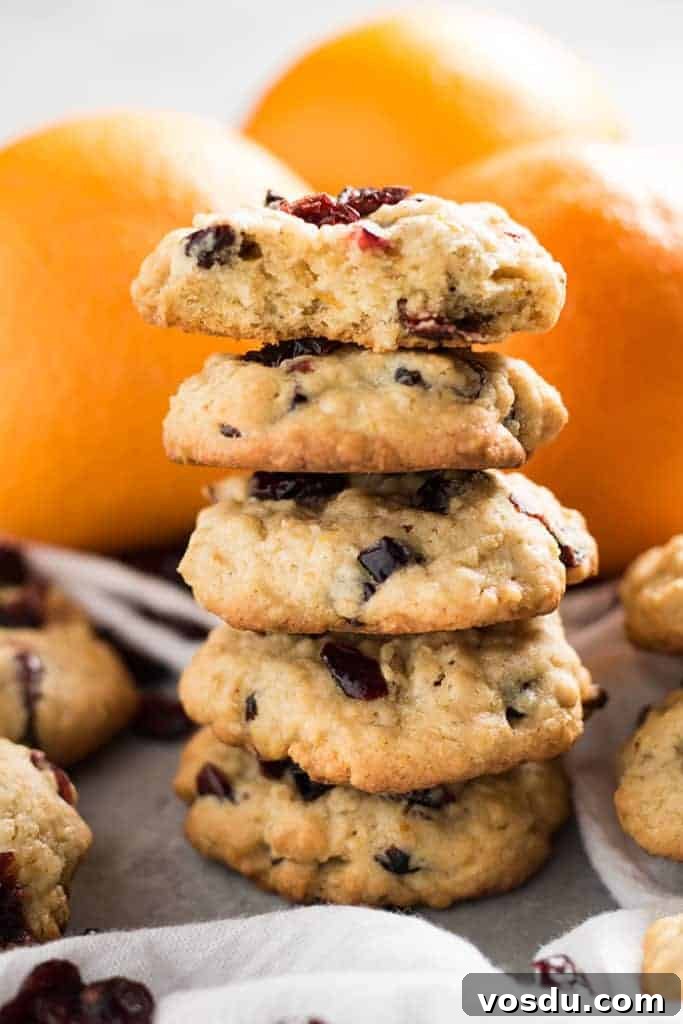 Cranberry Orange Oatmeal Cookies Recipe — Chewy Citrus Oat Bars 2 cranberry orange oatmeal cookies