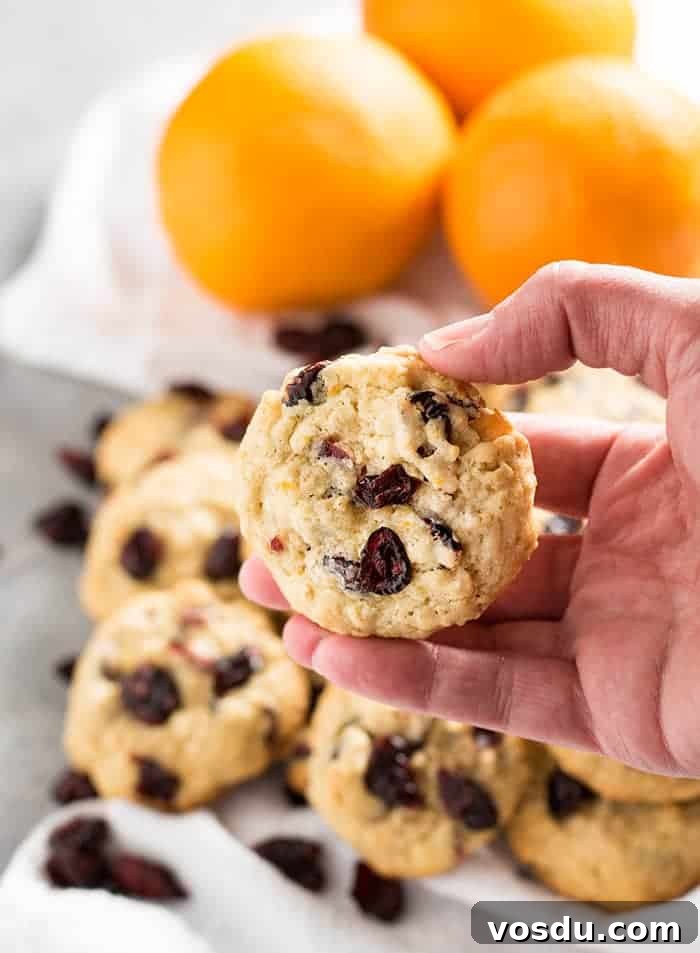 Cranberry Orange Oatmeal Cookies Recipe — Chewy Citrus Oat Bars 3 cranberry orange oatmeal cookies