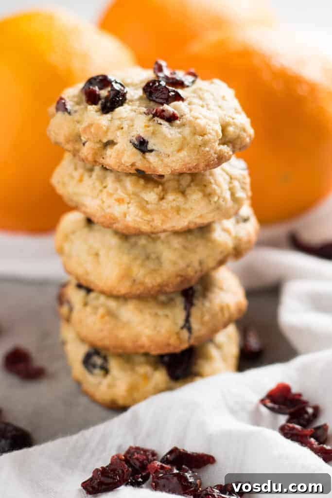Cranberry Orange Oatmeal Cookies Recipe — Chewy Citrus Oat Bars 4 cranberry orange oatmeal cookies