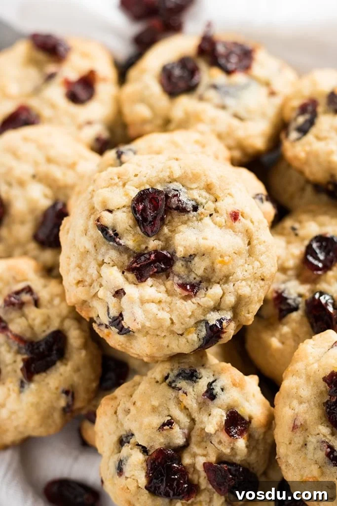 Cranberry Orange Oatmeal Cookies Recipe — Chewy Citrus Oat Bars 5 cranberry orange oatmeal cookies