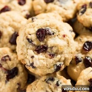 Cranberry Orange Oatmeal Cookies Recipe — Chewy Citrus Oat Bars 6 cranberry orange oatmeal cookies