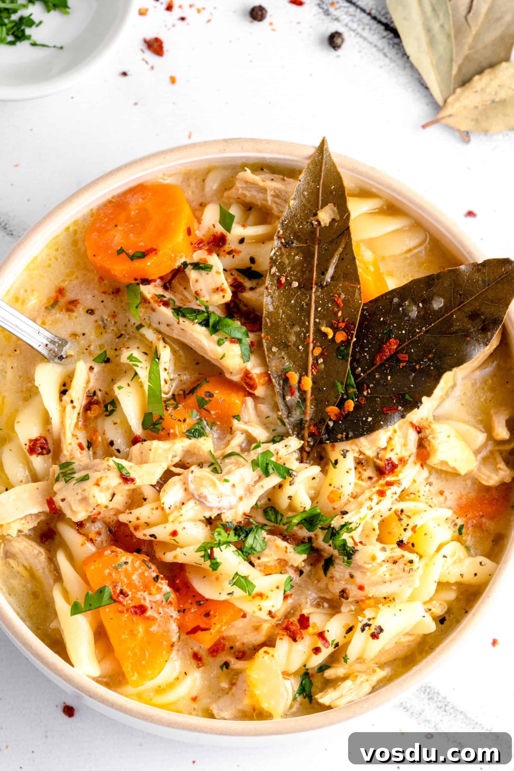 Gluten-Free Chicken Noodle Soup (Dairy-Free) A bowl of homemade chicken noodle soup garnished with bay leaves and parsley.