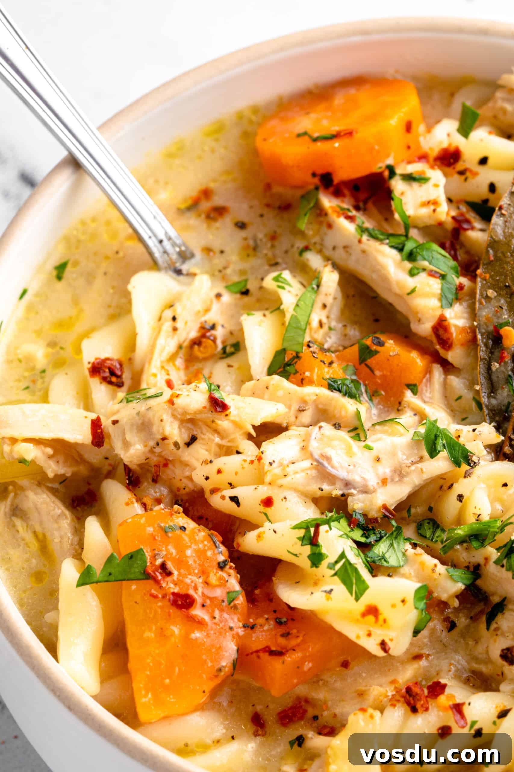 Gluten-Free Chicken Noodle Soup (Dairy-Free) Spoon dipping into a bowl of gluten-free chicken soup.