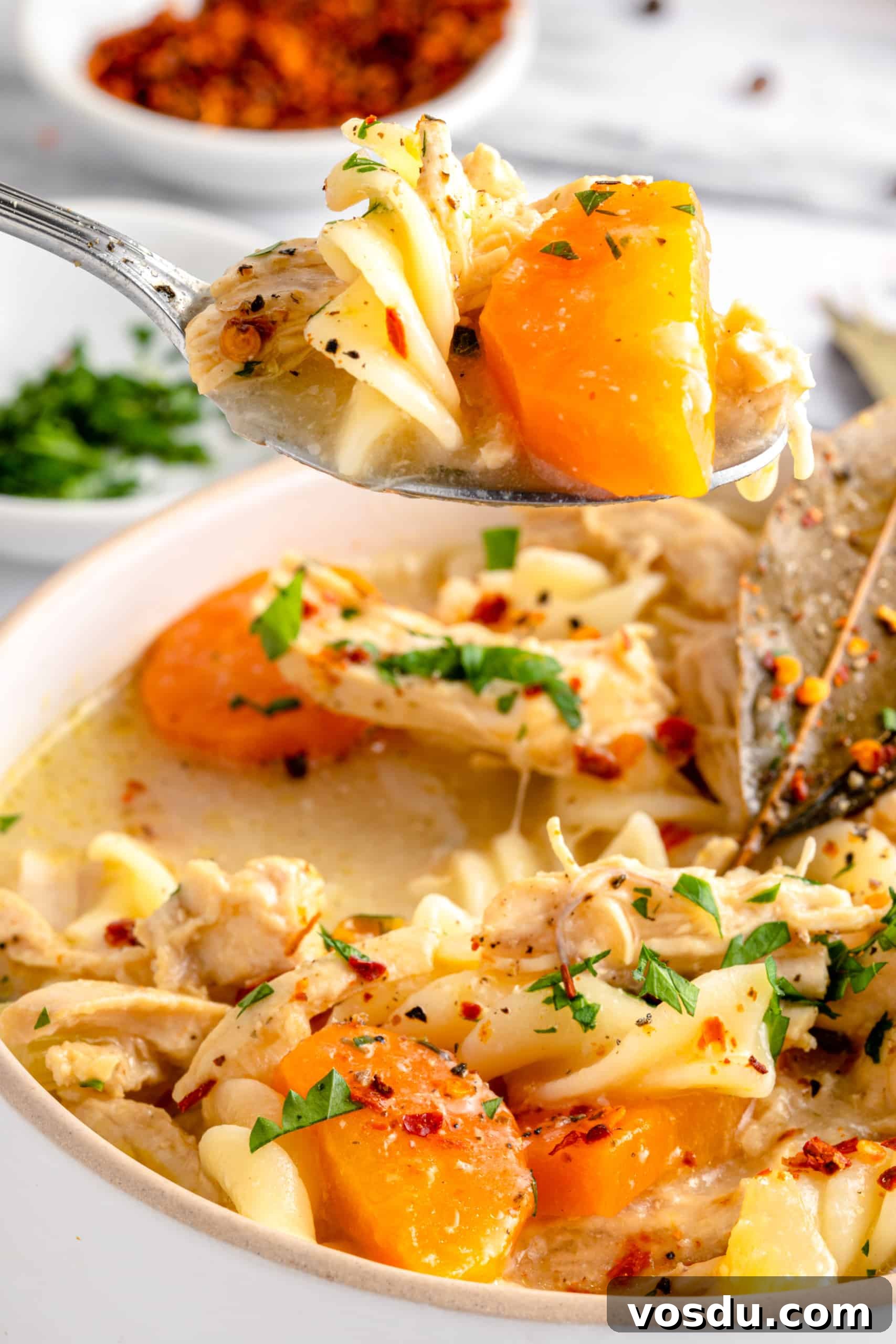 Gluten-Free Chicken Noodle Soup (Dairy-Free) Holding a spoonful of chicken noodle soup from a bowl.