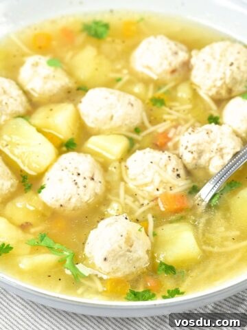 A bowl of chicken meatball soup