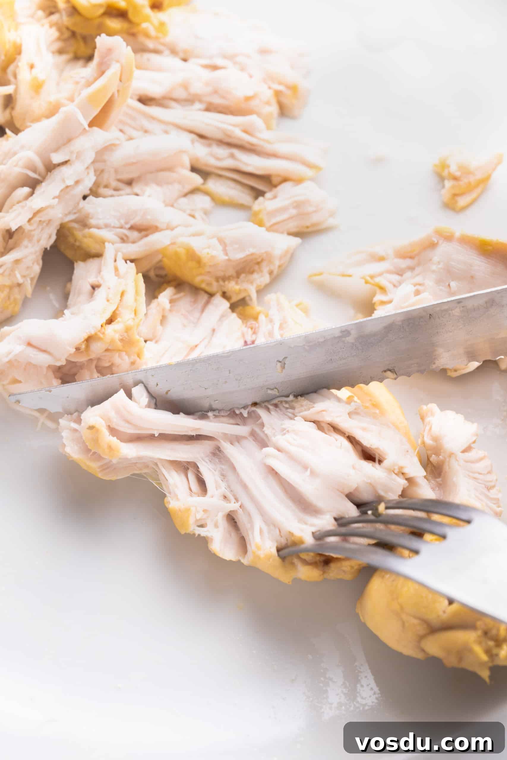 Dairy-Free Chicken Noodle Soup (Gluten-Free) Shredding cooked chicken breasts.