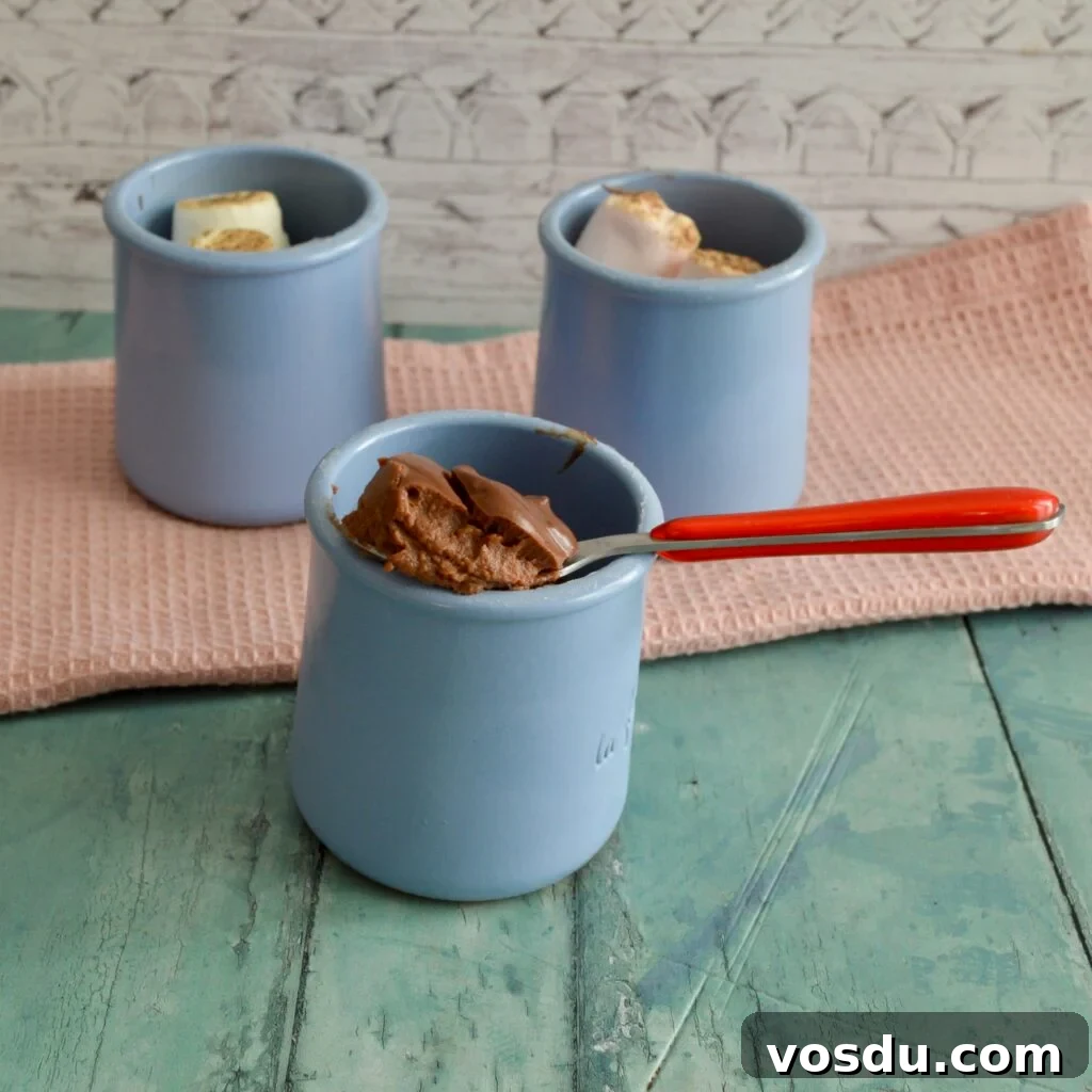 10 Gluten- and Dairy-Free Pumpkin Recipes You’ll Love 11 pumpkin chocolate pudding