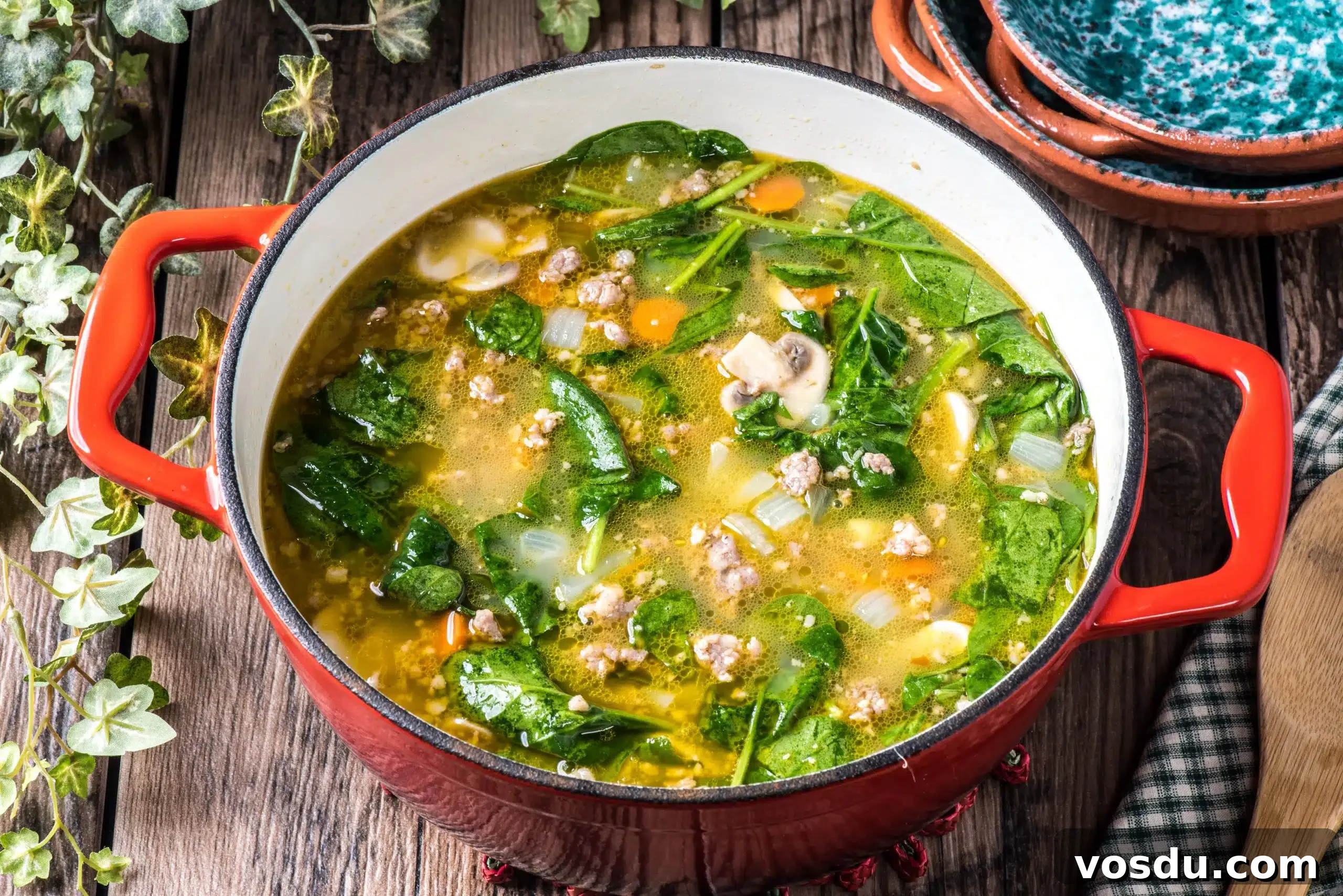 Hearty Italian Sausage and Vegetable Soup Recipe 14 img 34606 16
