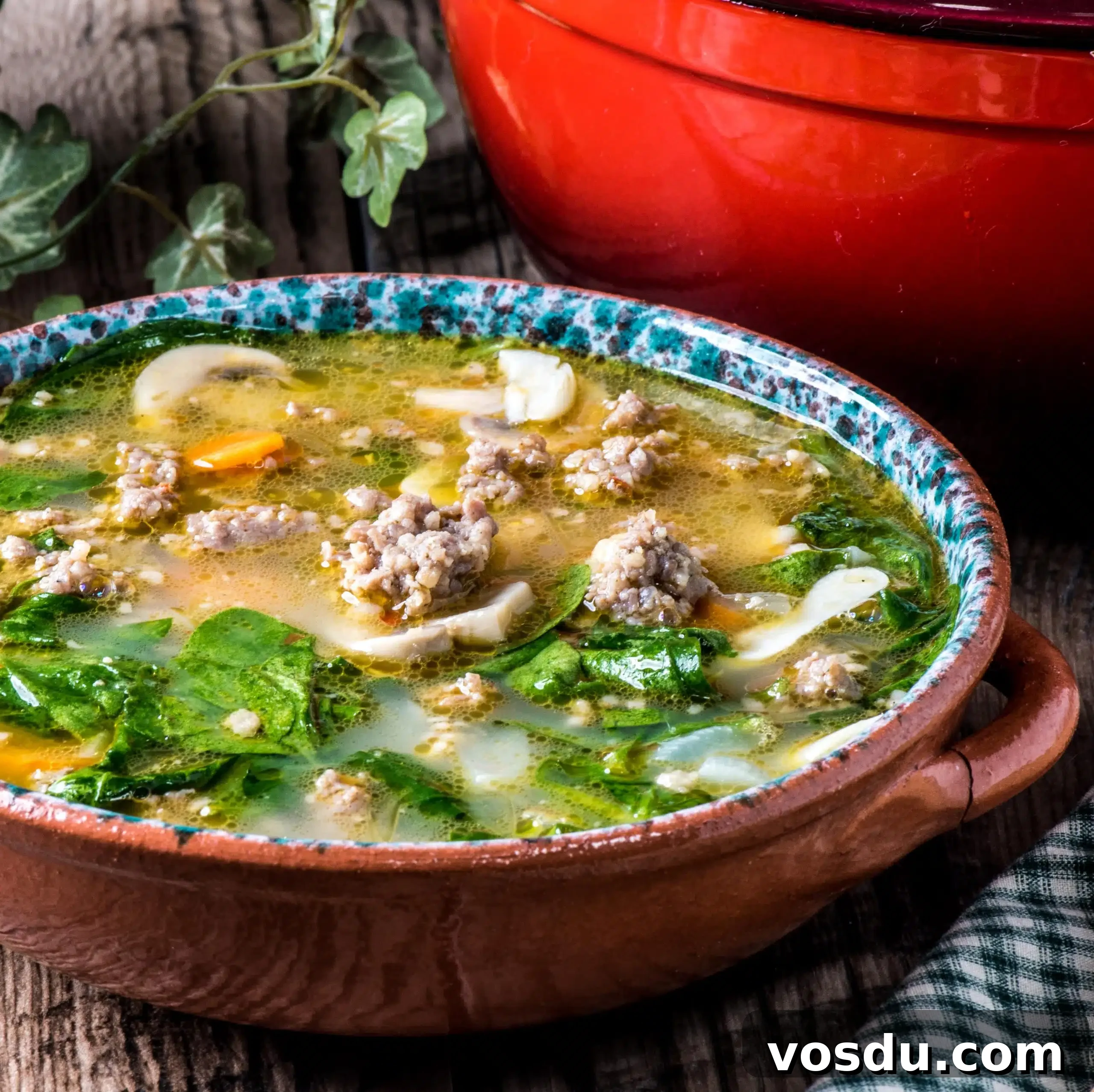 Hearty Italian Sausage and Vegetable Soup Recipe 5 img 34606 7