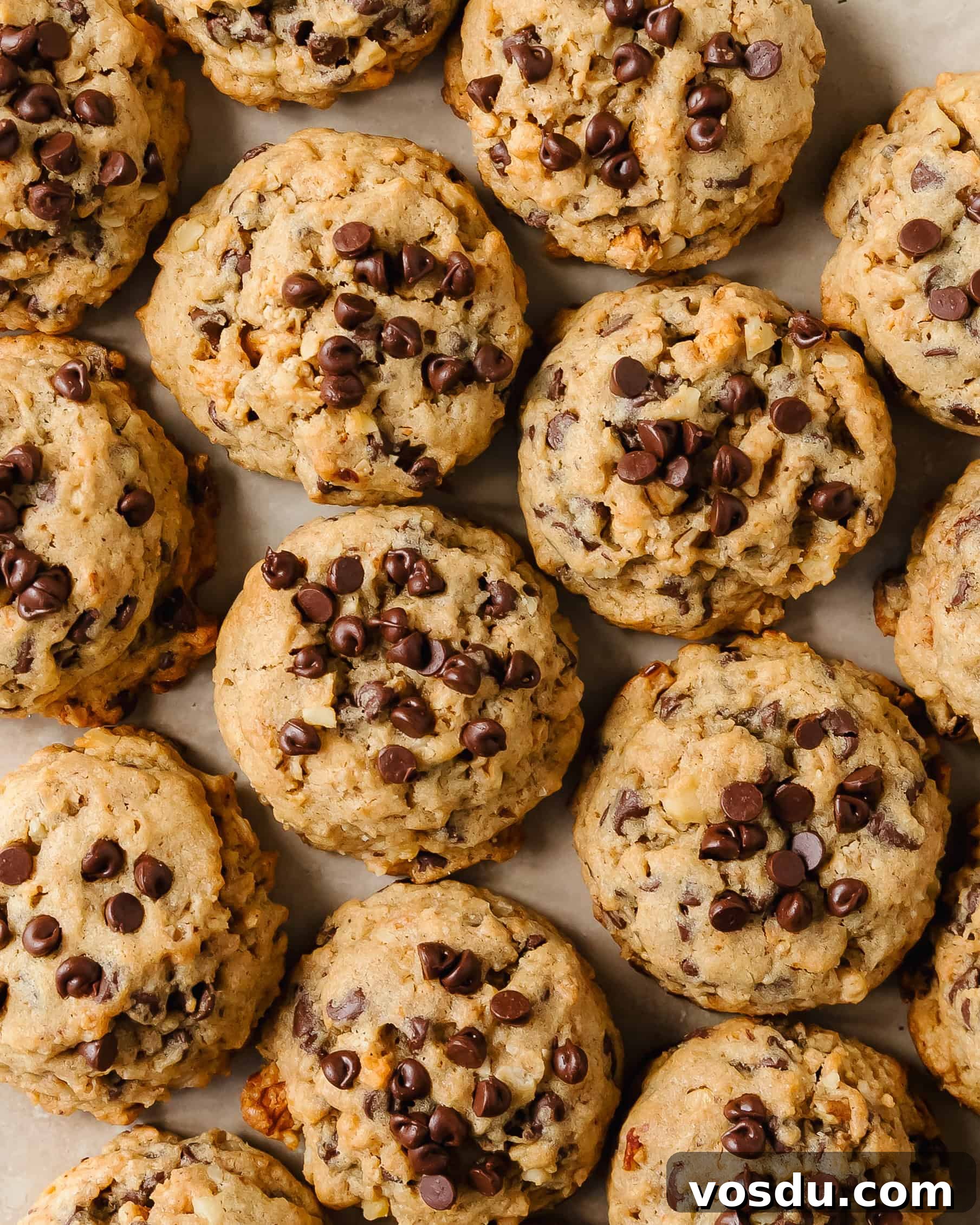 Crunchy Granola Cookie Recipe with Oats and Honey 2 img 34899 1