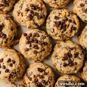 Crunchy Granola Cookie Recipe with Oats and Honey 8 img 34899 7
