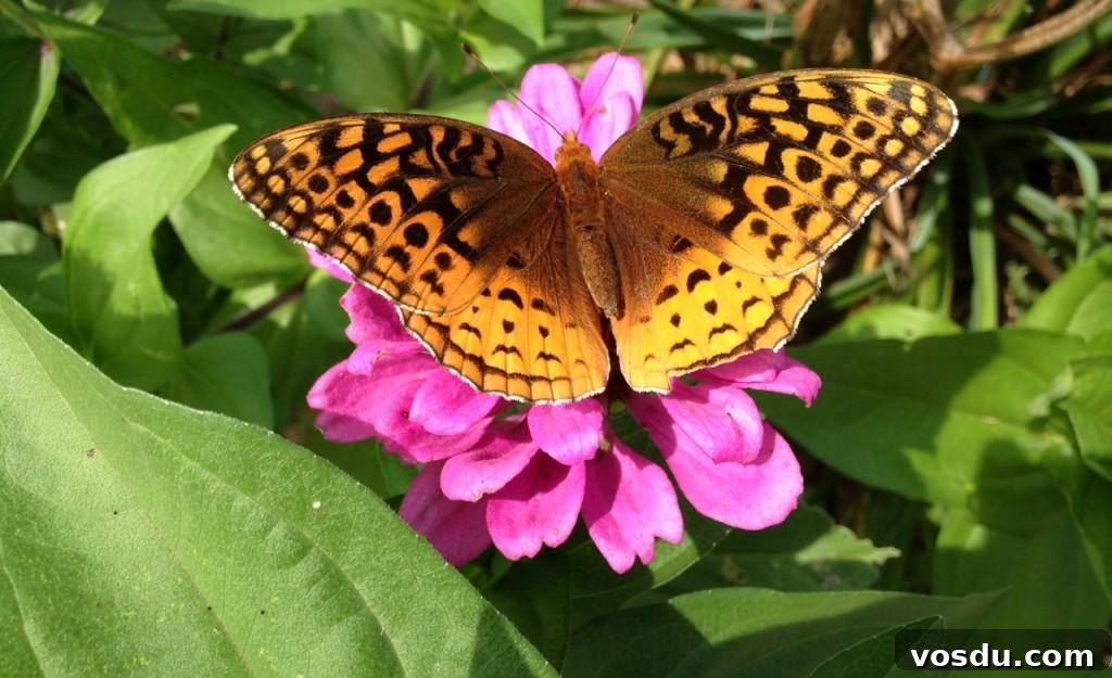 Table Talk: Where Has Spring Gone? 4 Spring-summer - 15