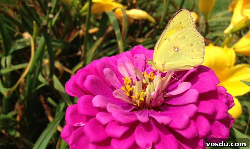 Table Talk: Where Has Spring Gone? 5 Spring-summer - 12