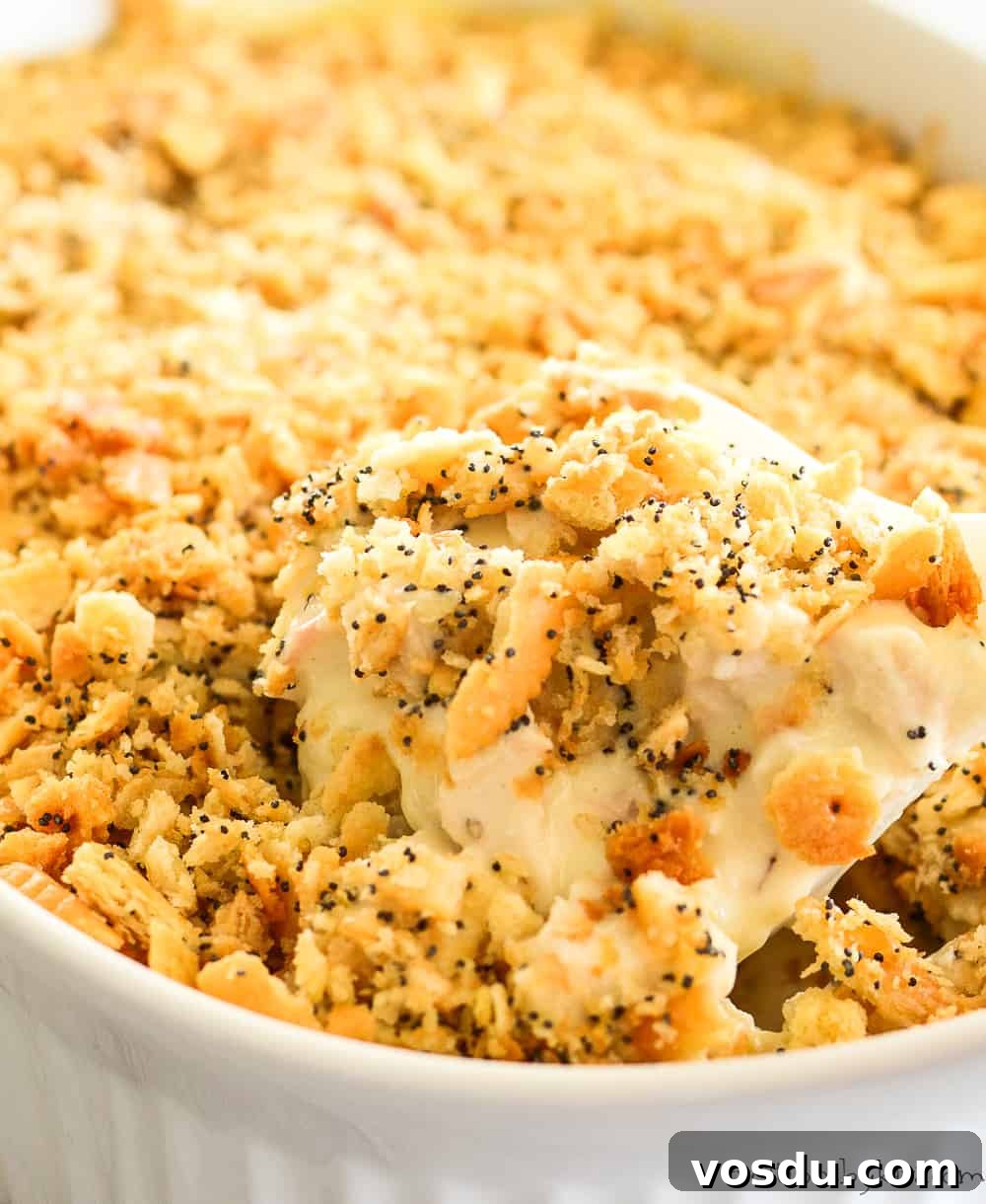Poppy Seed Chicken Casserole ready to serve poppy seed chicken in a casserole dish