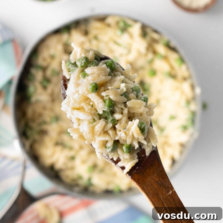 15 Quick Rotisserie Chicken Dinners for Busy Weeknights 11 Serving of Orzo Alfredo with peas on a wooden spoon above the pot.