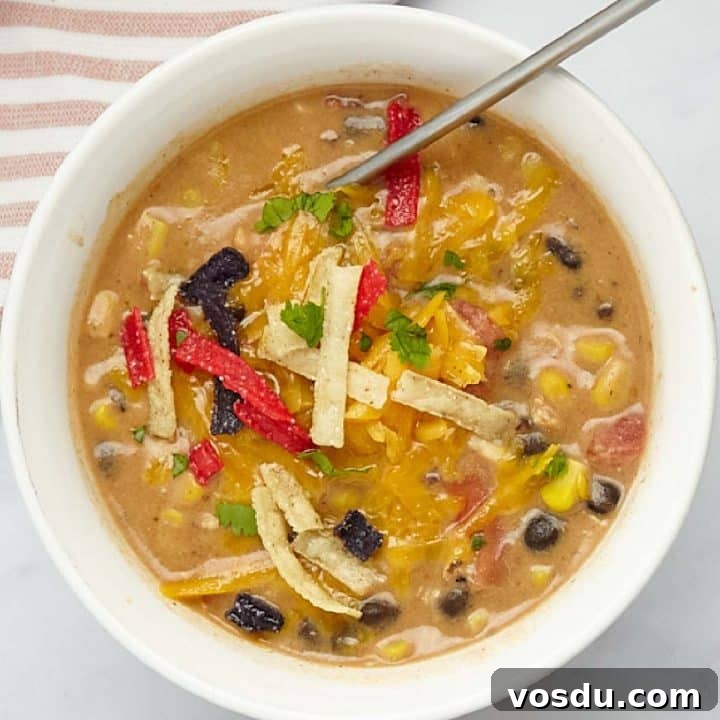 15 Quick Rotisserie Chicken Dinners for Busy Weeknights 13 A bowl of chicken enchilada soup garnished with shredded cheddar cheese, cilantro, and tortilla strips.